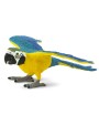 Papagailis Blue&Gold Macaw - SAFARI Ltd.