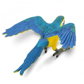 Parrot Blue&Gold; Macaw - SAFARI Ltd. Parrot Blue&Gold; Macaw - SAFARI Ltd.