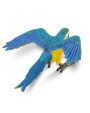 Papagailis Blue&Gold Macaw - SAFARI Ltd.