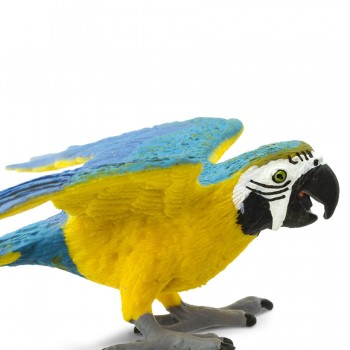 Parrot Blue&Gold; Macaw - SAFARI Ltd. Parrot Blue&Gold; Macaw - SAFARI Ltd.