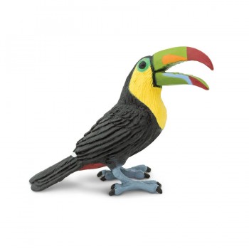 Toucan - SAFARI Ltd.