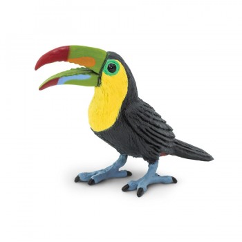 Toucan - SAFARI Ltd.