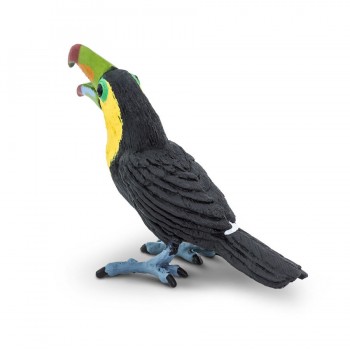 Toucan - SAFARI Ltd.