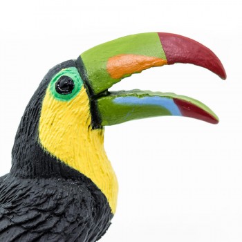 Toucan - SAFARI Ltd.