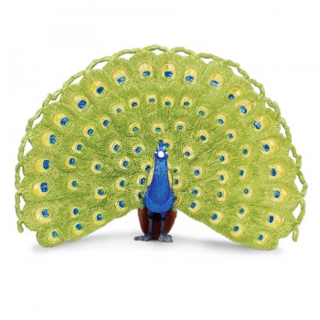 PEACOCK - SAFARI LTD.