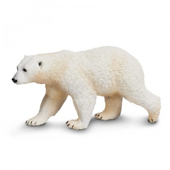 Polar Bear - SAFARI Ltd.