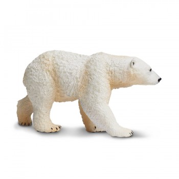 Polar Bear - SAFARI Ltd. Polar Bear - SAFARI Ltd.