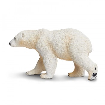 Polar Bear - SAFARI Ltd. Polar Bear - SAFARI Ltd.
