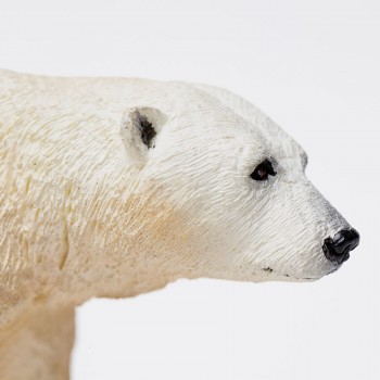 Polar Bear - SAFARI Ltd. Polar Bear - SAFARI Ltd.