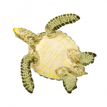 Green sea turtle Green sea turtle