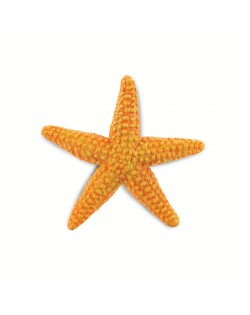 Oranžā Jūras Zvaigzne - SAFARI Ltd.