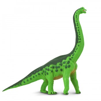 Brachiosaurus - SAFARI Ltd.