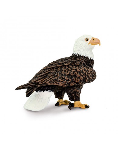 Baltgalvas ērglis