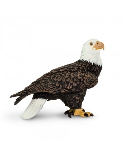 Baltgalvas ērglis