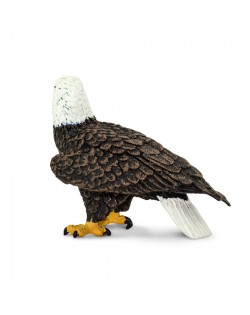 Baltgalvas ērglis