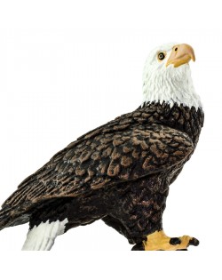 Baltgalvas ērglis