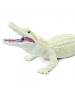 Baltais Aligators - SAFARI Ltd.