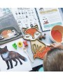 Sensorā Kaste Fox