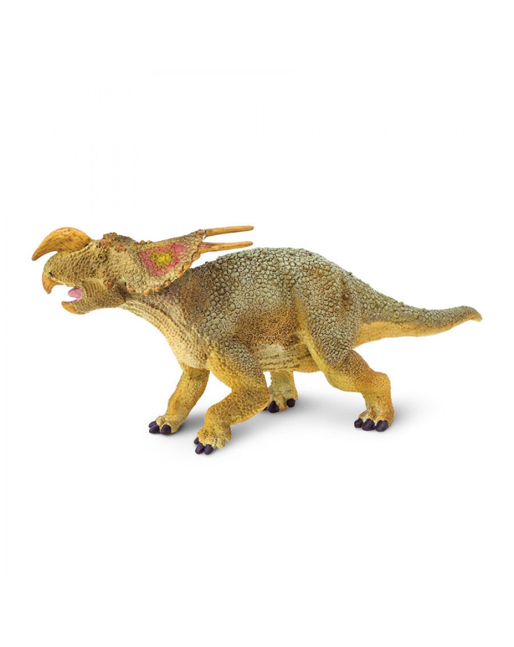 Einiosaurus