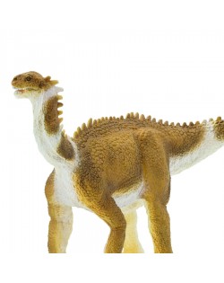 Shunosaurus