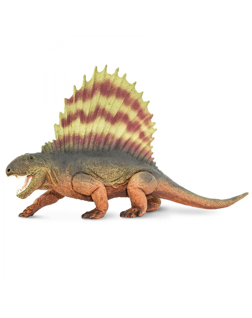 Dimetrodons - SAFARI Ltd.