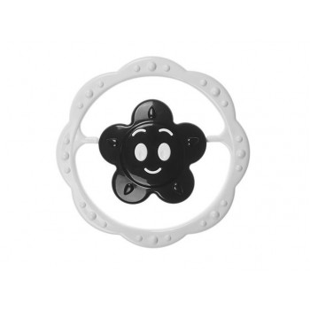 Black and White Grabulītis Flower Black and White Grabulītis Flower