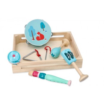 Musical Instrument Set in a Wooden Box