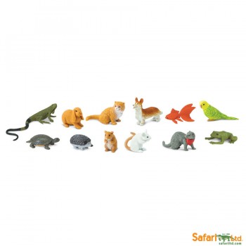 PETS TOOB® - SAFARI Ltd.