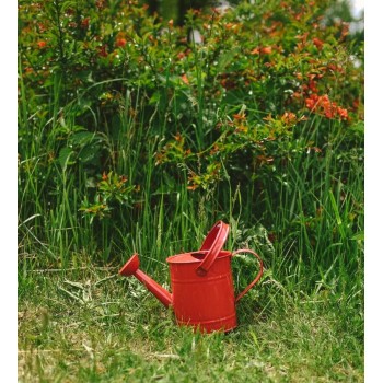 Metal Watering Can for Children - WOODY Metal Watering Can for Children - WOODY