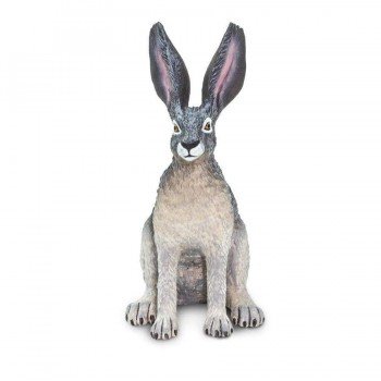 Amerikas Tuksneša Zaķis