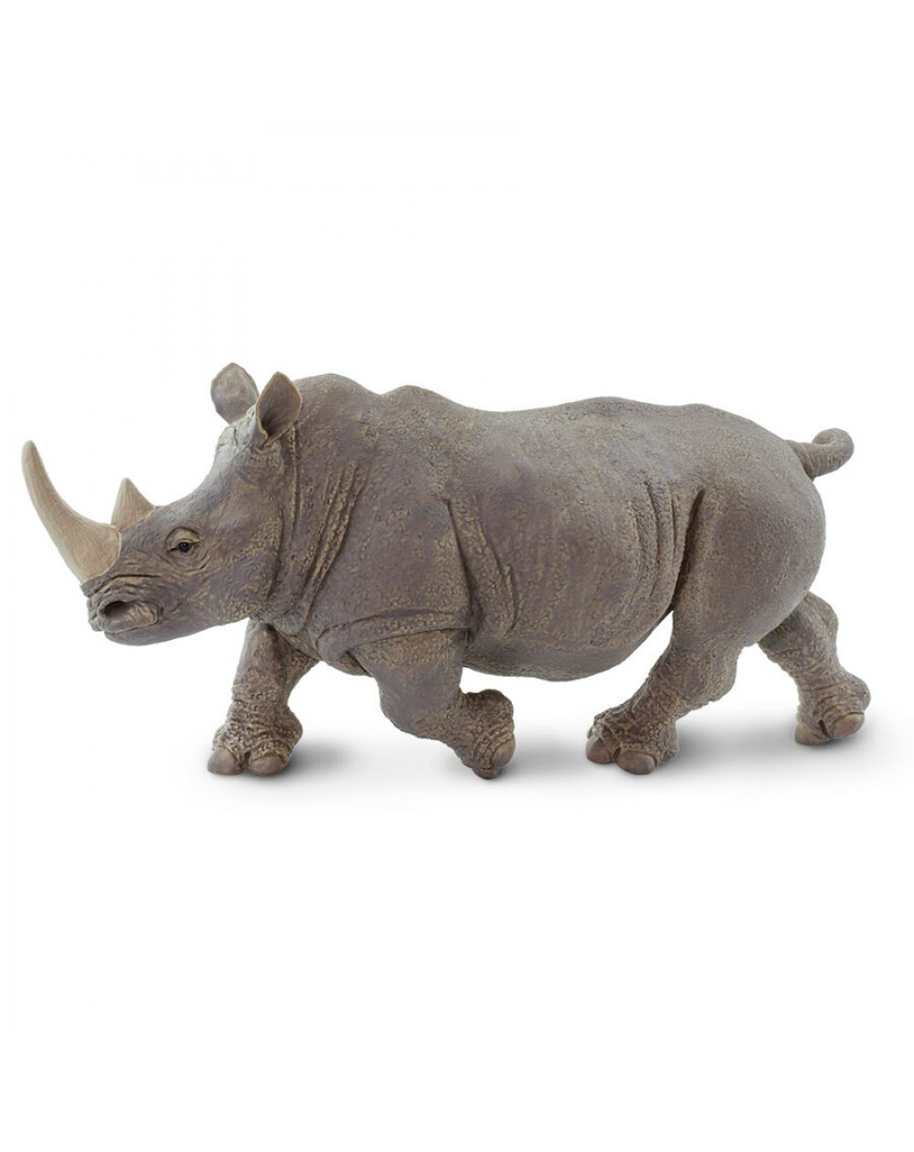 Baltais Degunradzis - SAFARI Ltd.