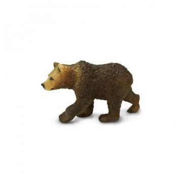 Grizli Bear Cub - SAFARI Ltd.