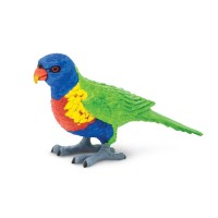 LORIINI/LORIKEET - SAFARI Ltd.