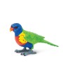 LORIINI/LORIKEET - SAFARI Ltd.