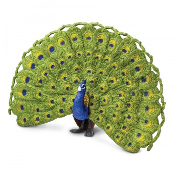 PEACOCK - SAFARI LTD.