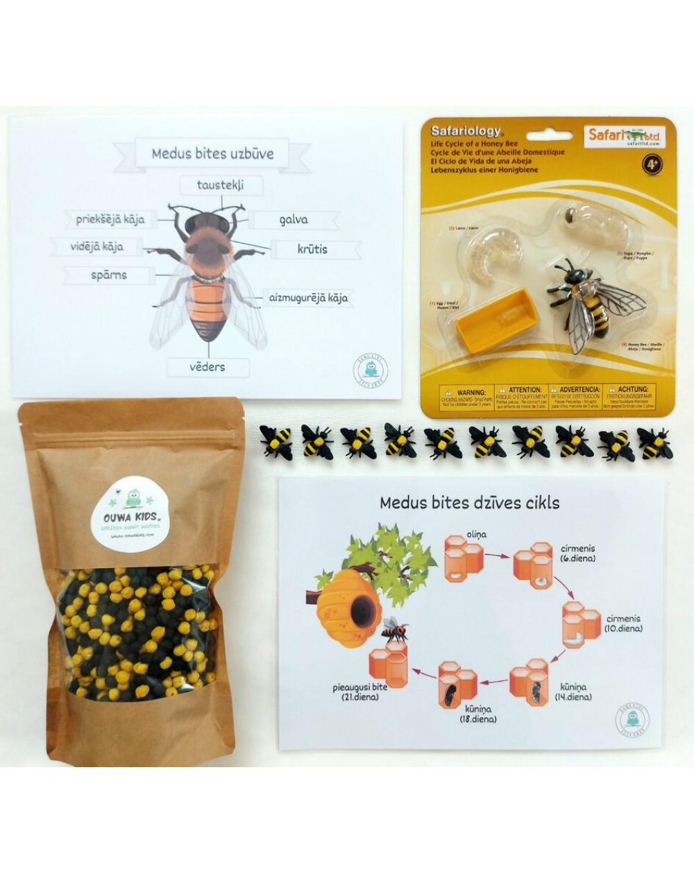 Sensoro Rotaļu Komplekts HoneyBee Life - OUWAKIDS