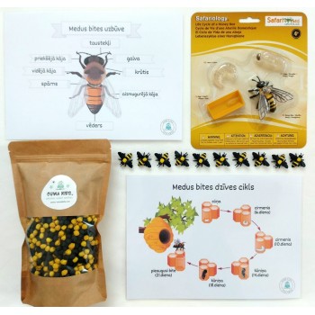 Sensory Play Set HoneyBee Life - OUWAKIDS