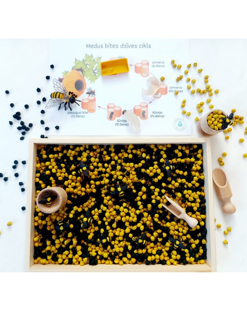 Sensoro Rotaļu Komplekts HoneyBee - OUWAKIDS