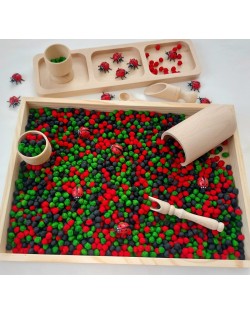 Sensoro Rotaļu Komplekts Ladybug Life - OUWAKIDS Sensoro Rotaļu Komplekts Ladybug Life - OUWAKIDS