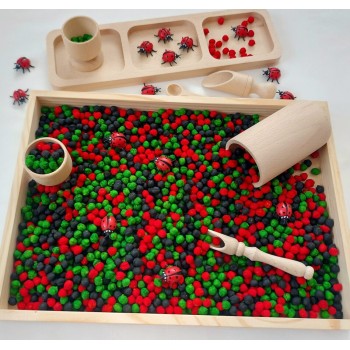 Sensoro Rotaļu Komplekts Ladybug Life - OUWAKIDS Sensoro Rotaļu Komplekts Ladybug Life - OUWAKIDS