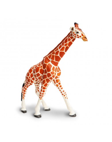 Somālijas Žirafe - SAFARI Ltd.