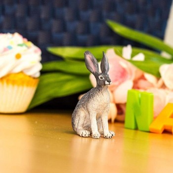 Amerikas Tuksneša Zaķis