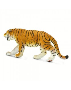 Bengālijas Tīģeris - SAFARI Ltd.