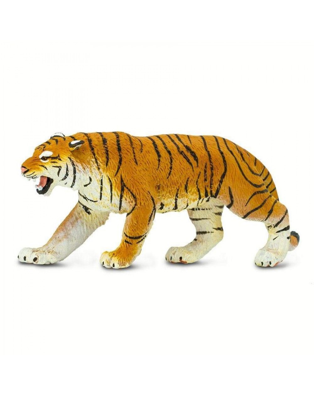 Bengālijas Tīģeris - SAFARI Ltd.