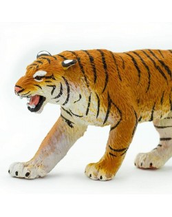 Bengālijas Tīģeris - SAFARI Ltd.