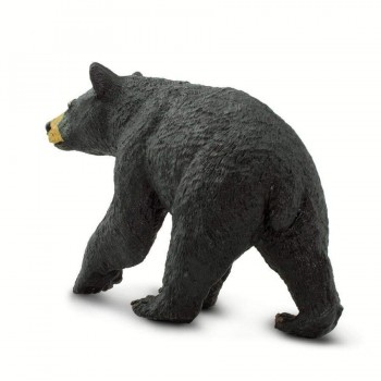 Black Bear - SAFARI Ltd.