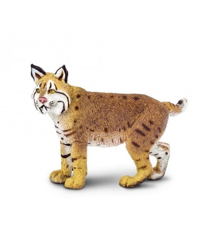 Rūsganais Lūsis - SAFARI Ltd.