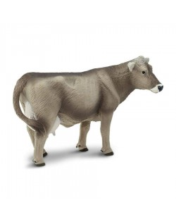 Brūnā Šveices Govs - SAFARI Ltd.