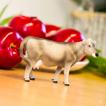 Brūnā Šveices Govs - SAFARI Ltd.