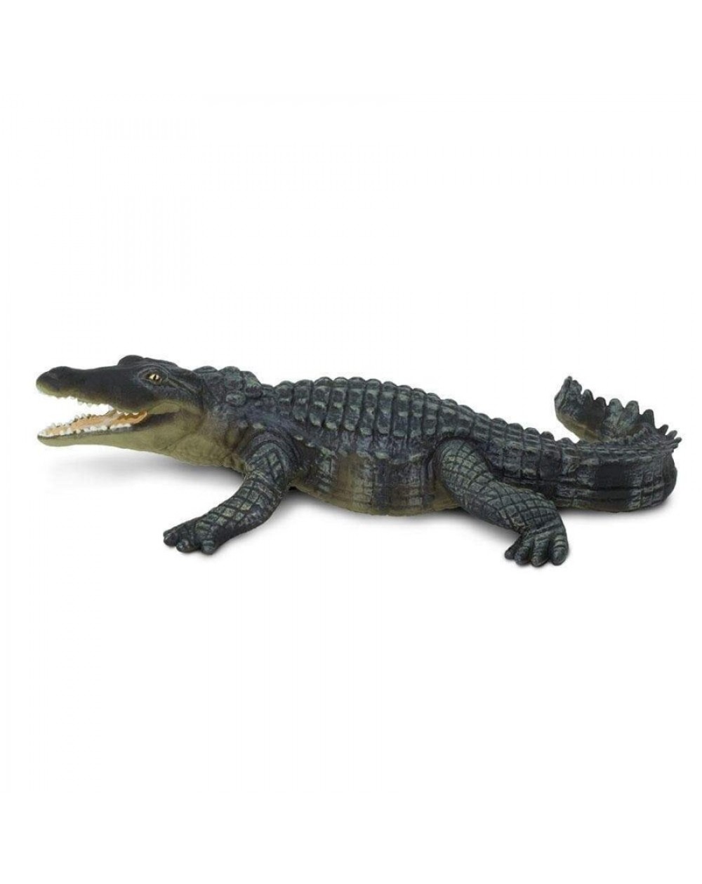 Krokodils - SAFARI Ltd.
